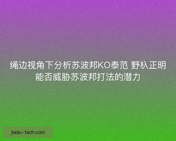 绳边视角下分析苏波邦KO泰范 野杁正明能否威胁苏波邦打法的潜力